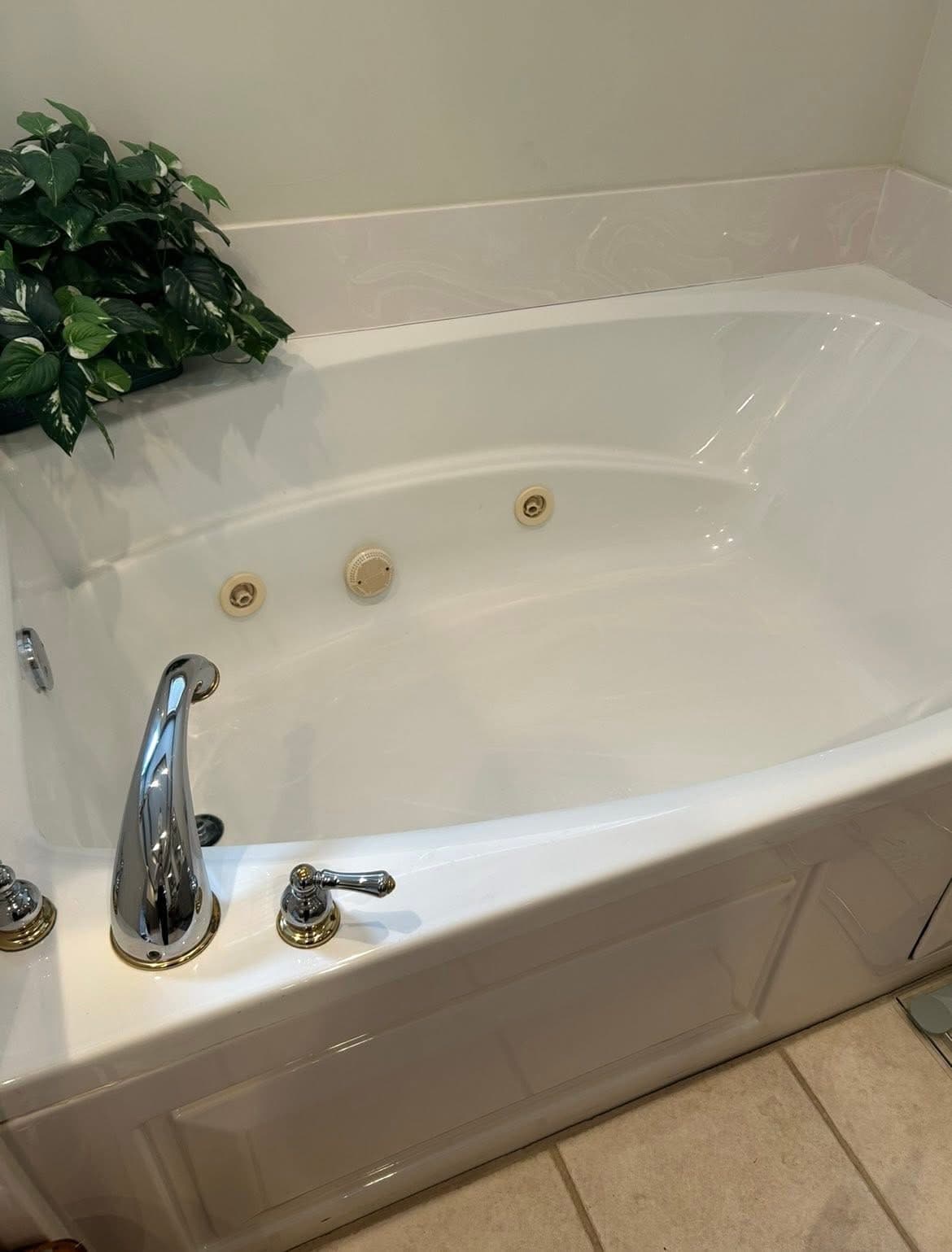 Gleaming bathtub with chrome fixtures and decorative plant