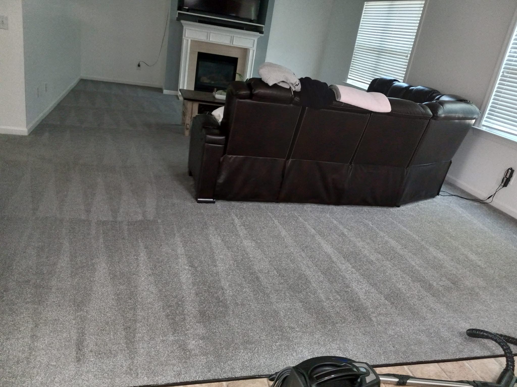 Pristine carpet lines in living room with leather sofa