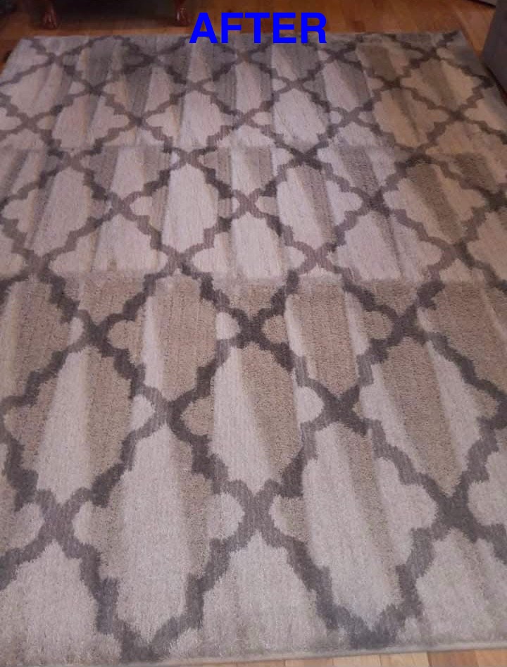 Area rug cleaning — After
