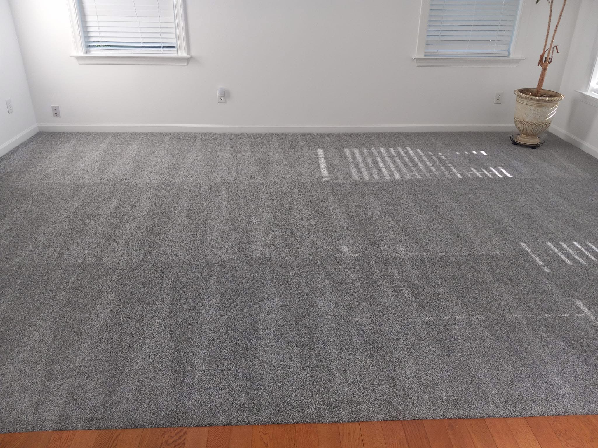 Carpet deep clean — After