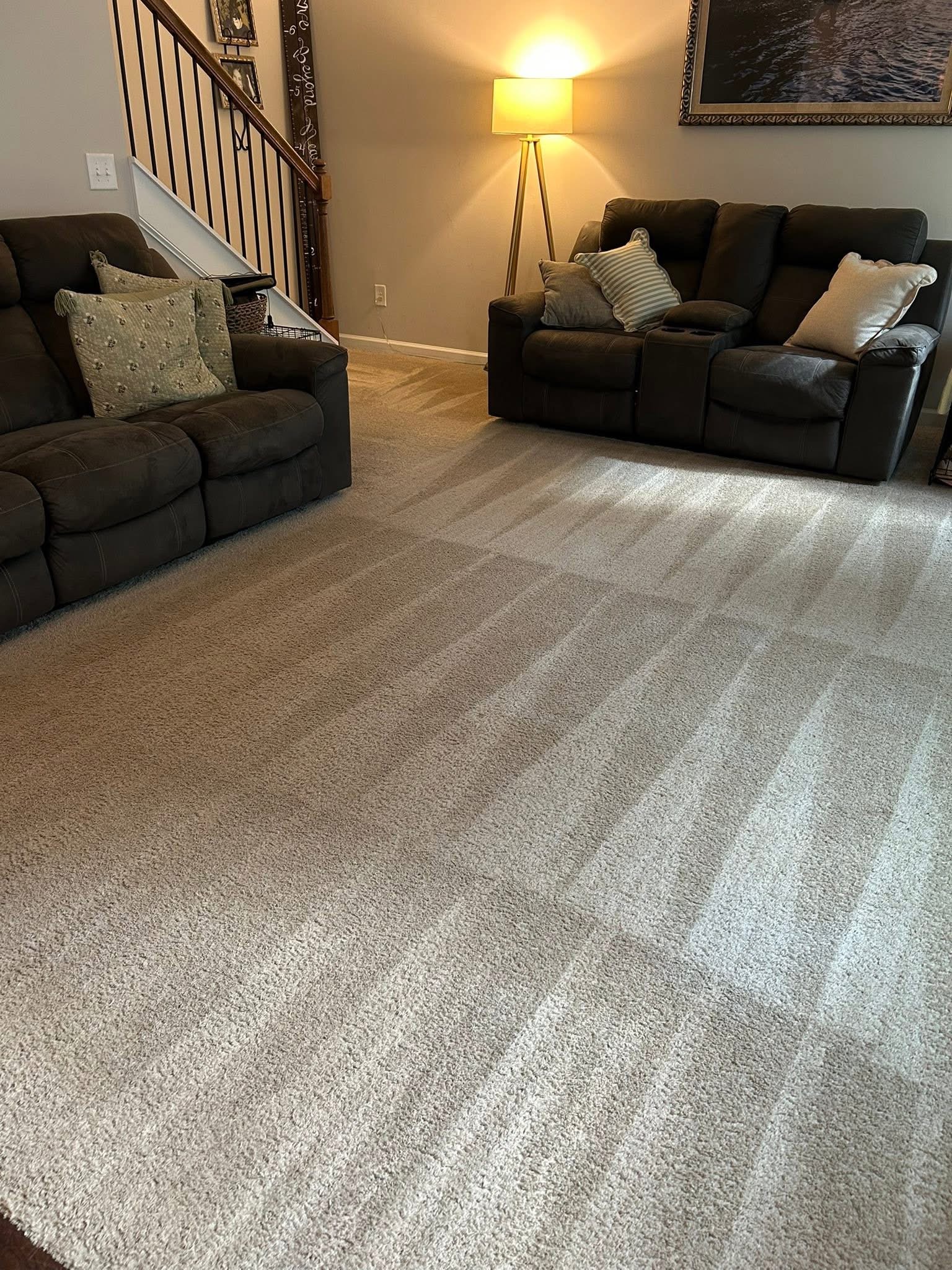 Clean Queen ATL — Carpets & Floors