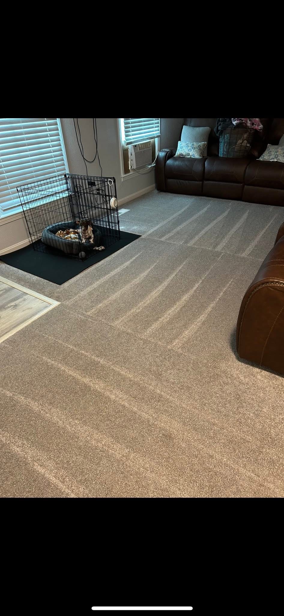 Clean Queen ATL — Carpets & Floors