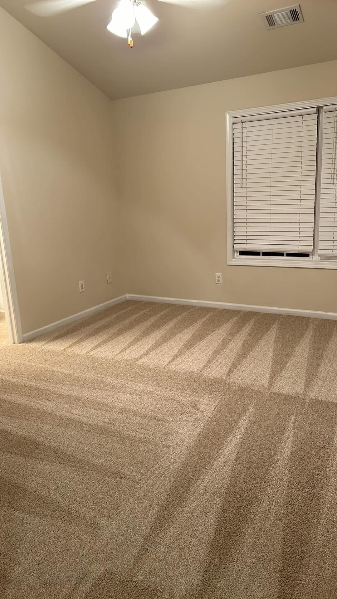 Clean Queen ATL — Carpets & Floors